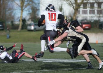Cougars Molosses